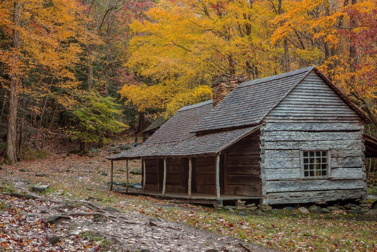 Love Shack Сев'єрвілл Екстер'єр фото